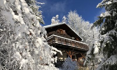 Independent 2 Bedroom apartment in a Chalet near the ski resort of Doucy Combelouviere