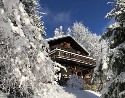 Independent 2 Bedroom apartment in a Chalet near the ski resort of Doucy Combelouviere